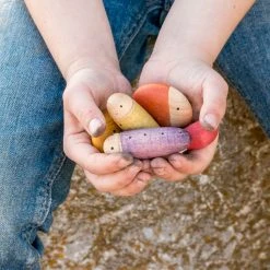 Grapat Toys Wooden Insects - 18 Pieces