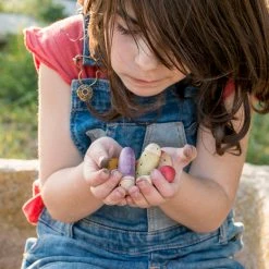 Grapat Toys Wooden Insects - 18 Pieces