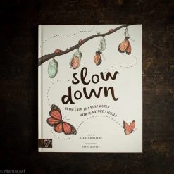 Books Books & More Rachel Williams & Freya Hartas - Slow Down
