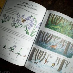 Books Books & More Rachel Williams & Freya Hartas - Slow Down