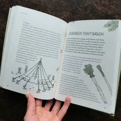 Books A Year Of Forest School Books & More