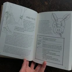 Books Play The Forest School Way Books & More