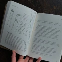 Books Play The Forest School Way Books & More