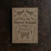 Books Play The Forest School Way Books & More