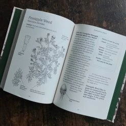 Books Foraging With Kids