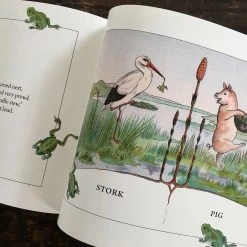 Books Books & More Sibylle Von Olfers - Story Of King Lion