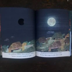 Books Britta Teckentrup - Moon Books & More