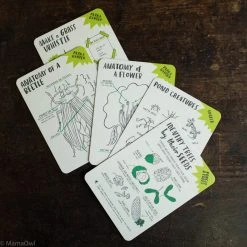 Books Books & More Nina Chakrabarti - Hello Nature Activity Cards: 30 Activities