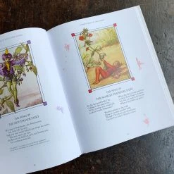 Books Fairy World Cicely Mary Barker - The Complete Book Of The Flower Fairies