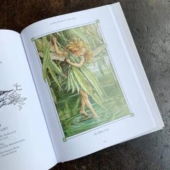 Books Fairy World Cicely Mary Barker - The Complete Book Of The Flower Fairies