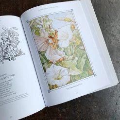 Books Fairy World Cicely Mary Barker - The Complete Book Of The Flower Fairies