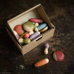 Grapat Toys Wooden Insects - 18 Pieces