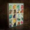 Puzzles Toys Avian Friends 1000 Piece Puzzle