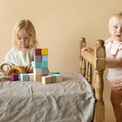 Raduga Grëz Handmade Wooden 20 Piece Cube Set - Forest