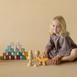 Raduga Grëz Handmade Wooden 20 Piece Cube Set - Forest