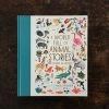 Books A World Full Of Animals Stories - 50 Folktales And Legends Books & More