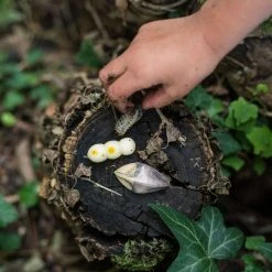 Grapat Wooden Wild Creatures - 12 Pieces