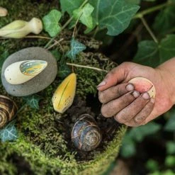 Grapat Wooden Wild Creatures - 12 Pieces