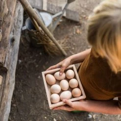 Grapat Toys Wooden Storage Box
