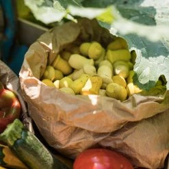 Grapat Wooden Tulips Mandala - 36 Pieces Toys