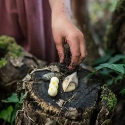 Grapat Wooden Wild Creatures - 12 Pieces