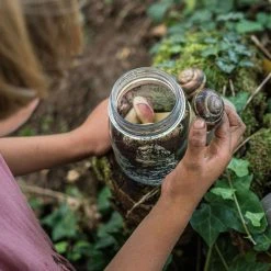 Grapat Wooden Wild Creatures - 12 Pieces