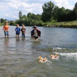 Kraul Trout Paddle Boat Kit