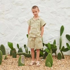 Liilu Cotton Bermuda Shorts - Olive Stripe