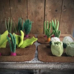 Papoose Toys Felted Wool Grow A Garden - Set Of 16