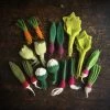 Papoose Toys Felted Wool Grow A Garden - Set Of 16