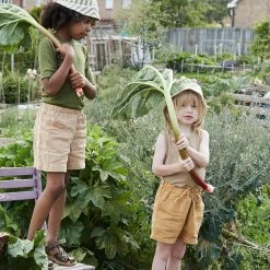 Matona Linen Arkie Shorts - Honey SALE