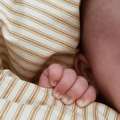 Studio Feder Home & Baby Care Organic Cotton Duvet & Pillow Cover - Classic Stripe Oak - Junior Size