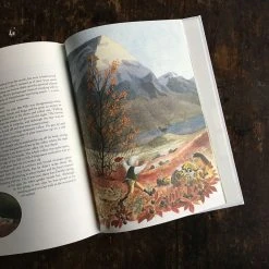 Books Selma Lagerlof - The Wonderful Adventures Of Nils