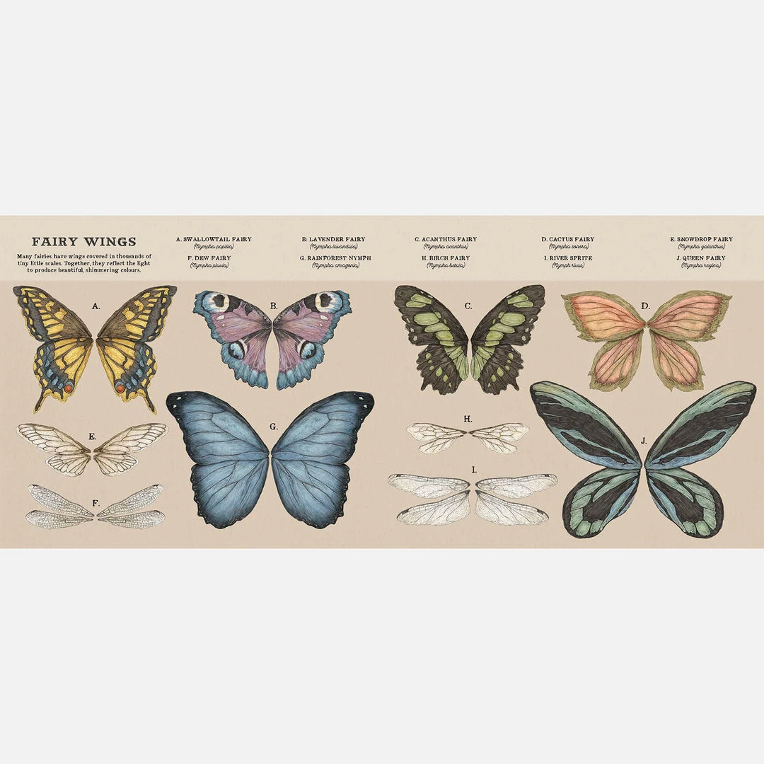 Books Books & More Emily Hawkins - A Natural History Of Fairies