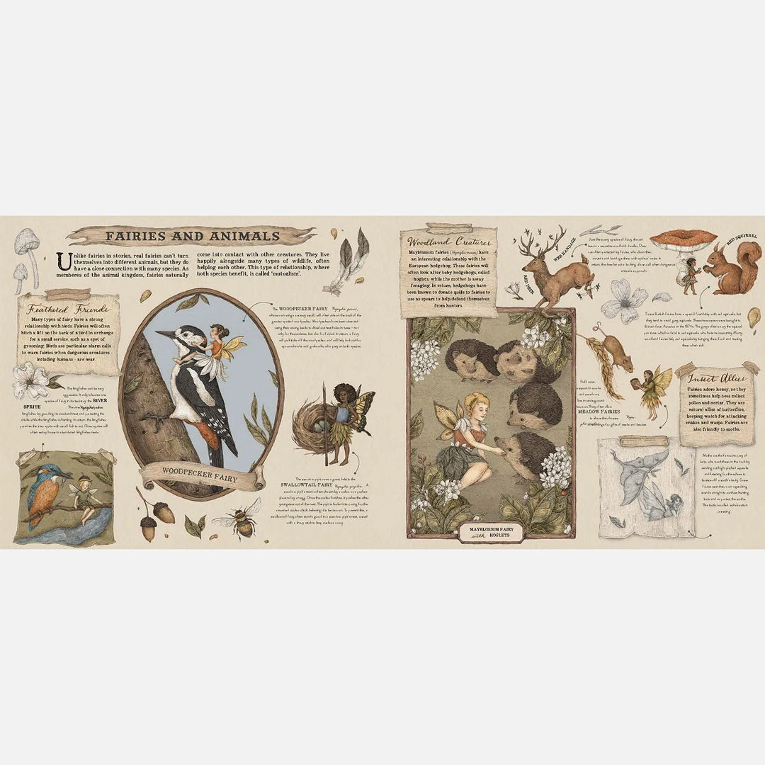 Books Books & More Emily Hawkins - A Natural History Of Fairies