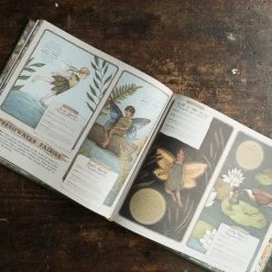 Books Books & More Emily Hawkins - A Natural History Of Fairies