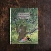 Books Books & More Gerda Muller - A Year Around The Great Oak
