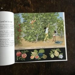 Books Gerda Muller - How Does My Fruit Grow?