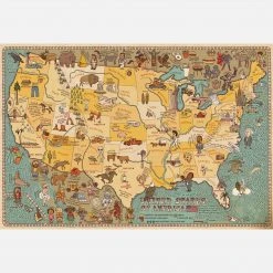 Books Alexandra & Danial Mizielinski - Maps Books & More