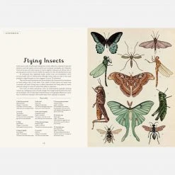 Books Jenny Broom - Animalium Books & More