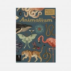Books Jenny Broom - Animalium Books & More