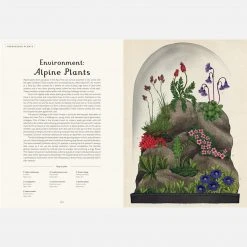 Books Kathy Willis - Botanicum