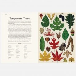 Books Kathy Willis - Botanicum