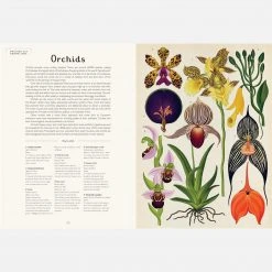 Books Kathy Willis - Botanicum