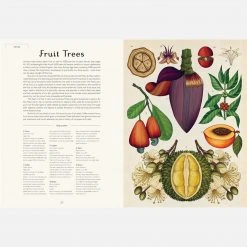 Books Kathy Willis - Botanicum