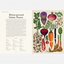 Books Kathy Willis - Botanicum