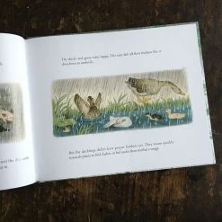 Books Gerda Muller - Where Do They Go When It Rains?