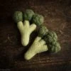 Papoose Toys Felted Wool Vegetable Broccoli - Set Of 2